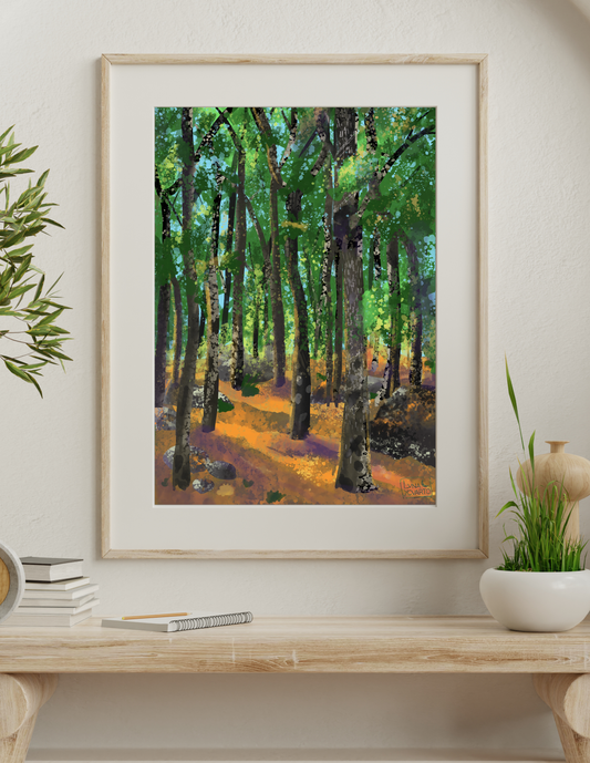 Ilustración Bosque de Sanabria